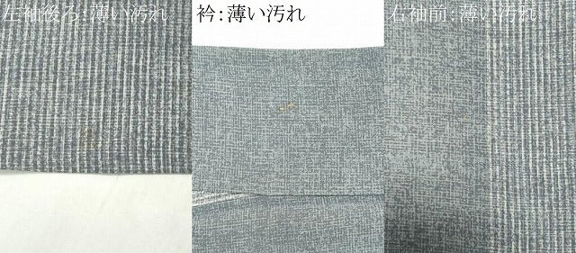 平和屋着物■上質な小紋　間道　正絹　逸品　CABK1164ou