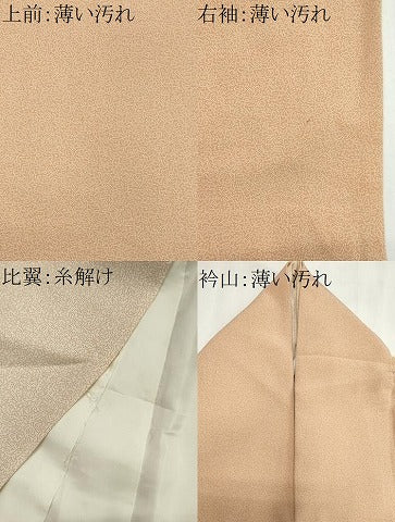 平和屋着物■江戸小紋　吉祥小紋柄　正絹　逸品　CABK1178ou