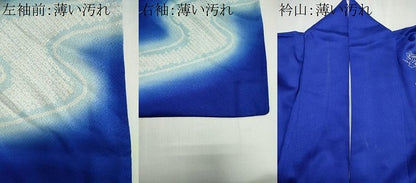 平和屋着物■訪問着　駒刺繍　絞り　流水草花文　暈し染め　銀彩　やまと誂製　正絹　逸品　CABK1179ou