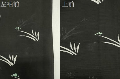 平和屋着物＊夏物　小紋　絽　草木文　黒地　正絹　逸品　CABK1191ou