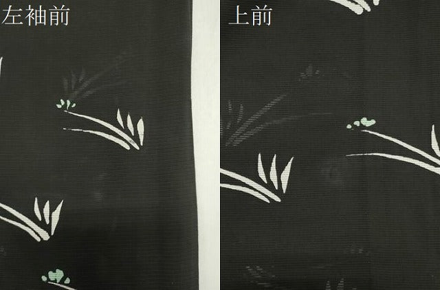平和屋着物＊夏物　小紋　絽　草木文　黒地　正絹　逸品　CABK1191ou