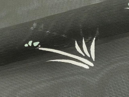 平和屋着物＊夏物　小紋　絽　草木文　黒地　正絹　逸品　CABK1191ou