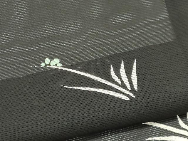 平和屋着物＊夏物　小紋　絽　草木文　黒地　正絹　逸品　CABK1191ou