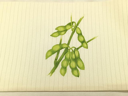 平和屋着物＊夏物　絽塩瀬　九寸名古屋帯　ビール　枝豆　正絹　逸品　CABK1260fb
