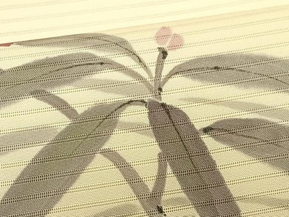 平和屋着物＊夏物　絽塩瀬　九寸名古屋帯　手描き　枝花文　正絹　逸品　CABK1263fb