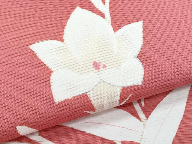 平和屋着物＊夏物　絽塩瀬　九寸名古屋帯　桔梗　銀彩　正絹　逸品　CABK1593fb