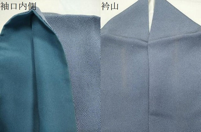 平和屋着物●江戸小紋　鮫小紋柄　正絹　逸品　CABK2065gh