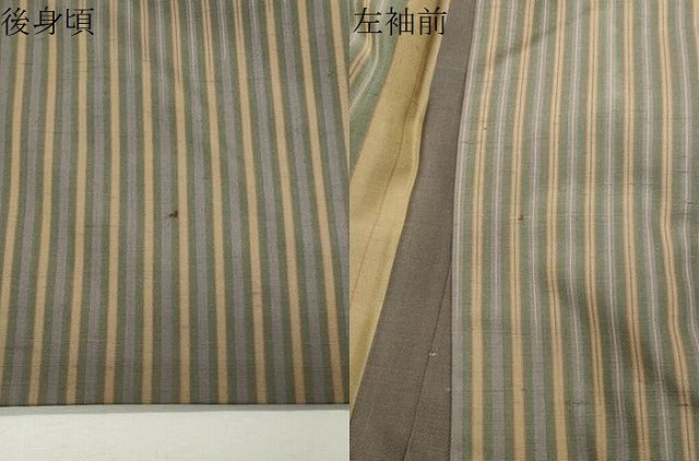平和屋着物●訪問着　紬地　風景間道　ロング丈　正絹　逸品　CABK2158gh