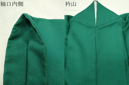 平和屋着物●染色作家　斉藤三才　色無地　紋意匠　寿光織　千歳緑色　証紙付き　正絹　逸品　CABK2179gh