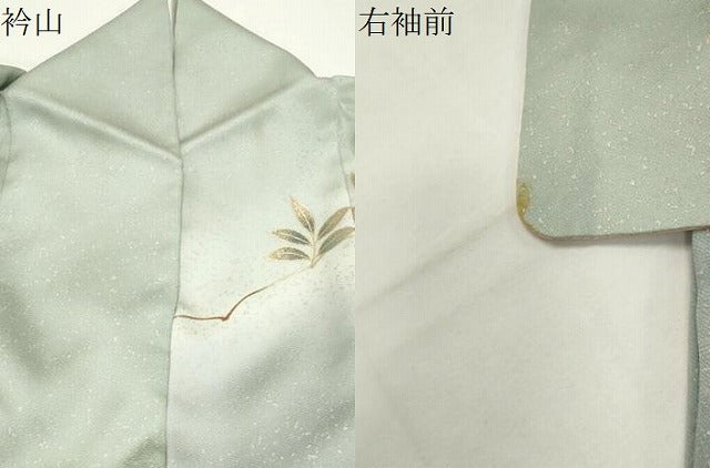 平和屋着物●訪問着　駒刺繍　草花文　暈し染め　金銀彩　正絹　逸品　CABK2244gh