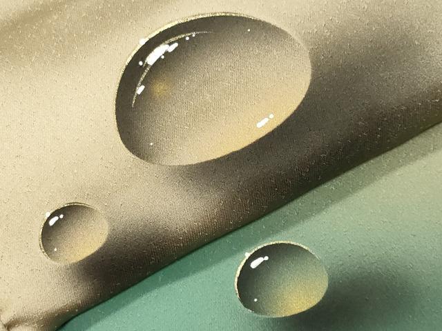 平和屋着物●染色作家　青木龍雲　訪問着　手描き　水玉　暈し染め　金彩　正絹　逸品　CABK2337gh