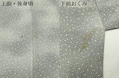 平和屋着物●上質な小紋　霰文　正絹　逸品　未使用　CABK2369gh