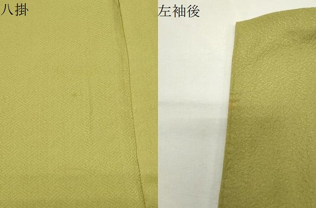 平和屋着物●上質な色無地　紋意匠　青朽葉色　正絹　逸品　CABK2393gh