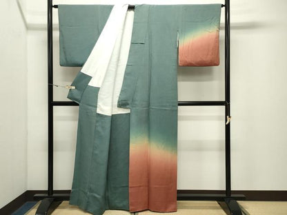 平和屋着物●訪問着　江戸小紋　鮫小紋柄　暈し染め　正絹　逸品　CABK2514gh