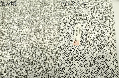 平和屋着物●重要無形文化財　人間国宝　中村勇二郎　江戸小紋　トンボ　正絹　逸品　CABK2599gh