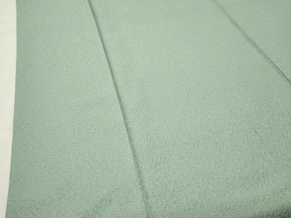 平和屋着物●本草木染作家　瑞寶　色無地　紋意匠　薄萌葱色　正絹　逸品　CABK2625gh