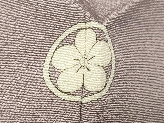 平和屋着物●皇室献上作家　藤井寛監修　色無地　薄色　正絹　逸品　CABK2691gh
