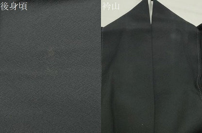 平和屋着物●訪問着　鳳凰花文　黒地　金銀彩　正絹　逸品　CABK2732gh