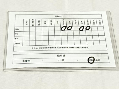 平和屋着物◎太鼓柄袋帯　作家物　枝椿　金糸　正絹　逸品　CABK2901yk