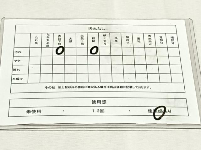 平和屋着物◎太鼓柄袋帯　すくい織　枝椿　正絹　逸品　CABK2903yk