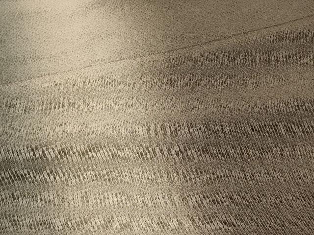 平和屋着物＃道中着　間道　暈し染め　鬼しぼ縮緬　ロング丈　正絹　逸品　CABK3248in