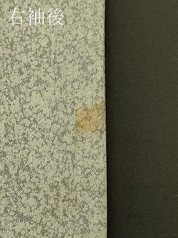 平和屋着物＃羽織　地紋起こし　枝花文　金彩　正絹　逸品　CABK3267in