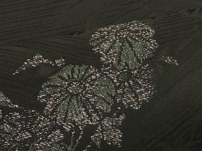 平和屋着物＃羽織　寿光織　草花文　黒地　金銀糸　正絹　逸品　CABK3268in