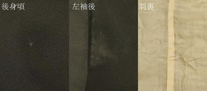 平和屋着物＃羽織　草花文　黒地　正絹　逸品　CABK3270in