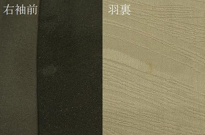 平和屋着物＃羽織 寿光織 枝花文 黒地 金銀糸 正絹 逸品 CABK3371in