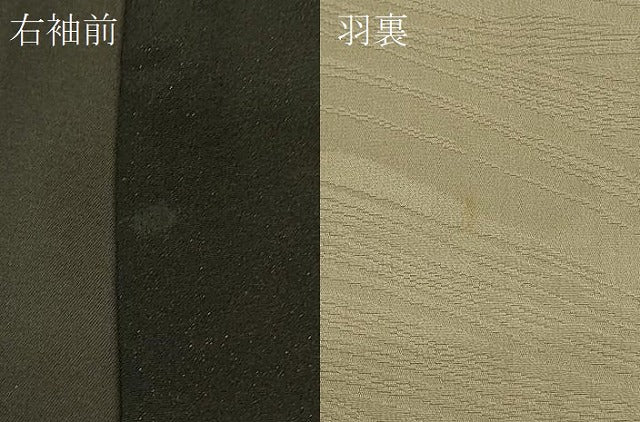 平和屋着物＃羽織 寿光織 枝花文 黒地 金銀糸 正絹 逸品 CABK3371in