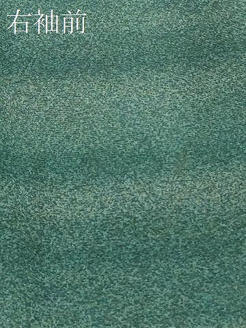 平和屋着物＃羽織 横段文 暈し染め 正絹 逸品 CABK3432in