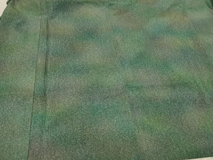 平和屋着物＃本場縞大島紬　道中着　霞文　暈し染め　彩美謹製　証紙付き　ロング丈　正絹　逸品　CABK3495in