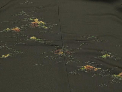 平和屋着物＃羽織 寿光織 風景文 黒地 銀糸 正絹 逸品 CABK3502in