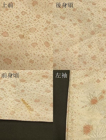 平和屋着物＃長羽織 寿光織 舞花文 銀糸 正絹 逸品 CABK3587in
