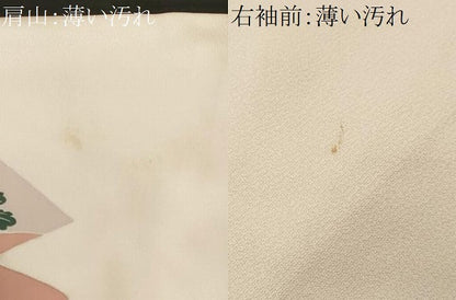 平和屋着物■訪問着　片輪車草花文　金彩　正絹　逸品　CABK3671ev