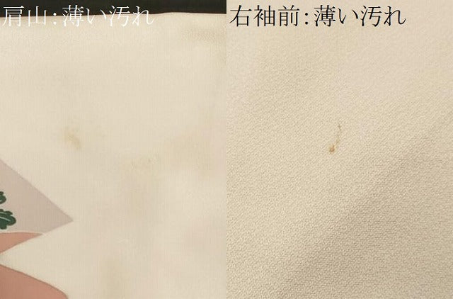 平和屋着物■訪問着　片輪車草花文　金彩　正絹　逸品　CABK3671ev