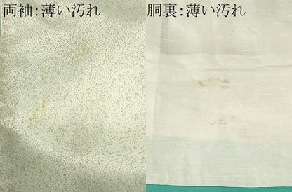 平和屋着物■訪問着　草花文　暈し染め　洗える着物　CABK3679ev
