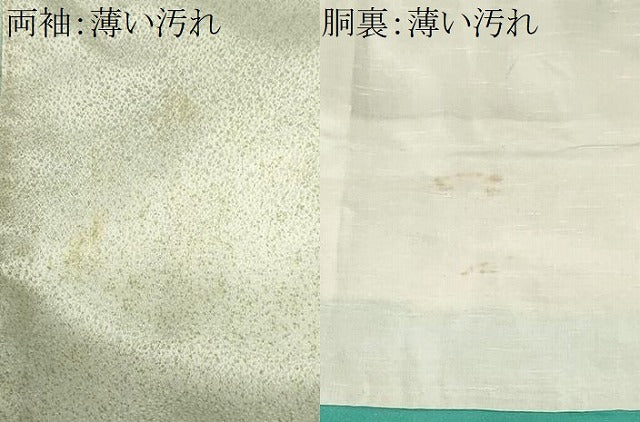 平和屋着物■訪問着　草花文　暈し染め　洗える着物　CABK3679ev