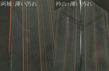 平和屋着物■小紋　縞　洗える着物　CABK3720ev