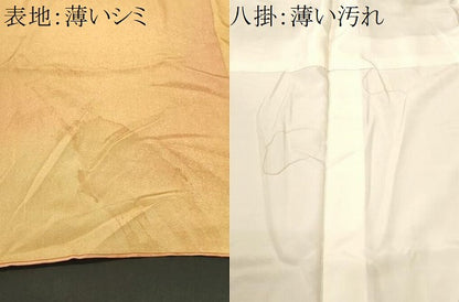 平和屋着物■上質な小紋　霞文　暈し染め　正絹　逸品　CABK3740ev