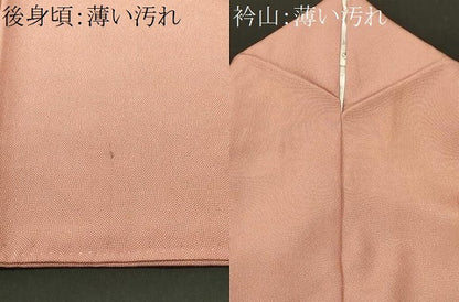 平和屋着物■江戸小紋　草木染　鮫小紋柄　正絹　逸品　CABK3749ev
