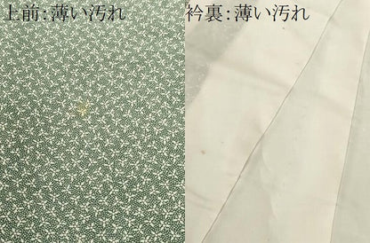 平和屋着物■江戸小紋　小花尽くし　正絹　逸品　CABK3758ev