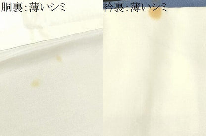 平和屋着物■訪問着　寿光織　草花文　金彩　正絹　逸品　CABK3762ev