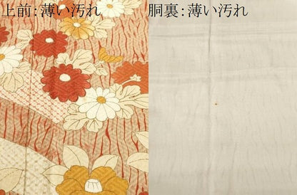 平和屋着物■訪問着　刺繍　草花文　金彩　正絹　逸品　CABK3790ev