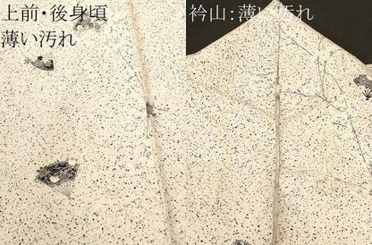 平和屋着物■訪問着　扇面枝花文　銀彩　正絹　逸品　CABK3818ev