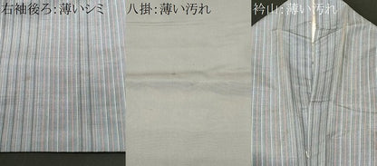 平和屋着物■上質な紬　縞　正絹　逸品　CABK3834ev