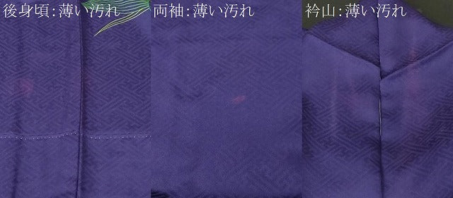 平和屋着物■訪問着　草花文　正絹　逸品　CABK3843ev