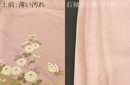 平和屋着物■訪問着　地紙花鳥文　暈し染め　金彩　正絹　逸品　CABK3866ev