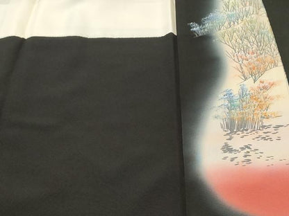 平和屋着物■豪華黒留袖　作家物　阿寒湖　暈し染め　金彩　正絹　逸品　CABK3906ev