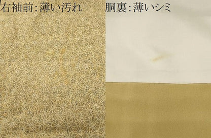 平和屋着物■上質な小紋　菊尽くし文　正絹　逸品　CABK3907ev